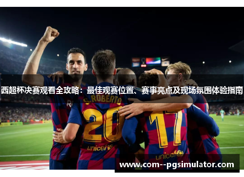 西超杯决赛观看全攻略：最佳观赛位置、赛事亮点及现场氛围体验指南