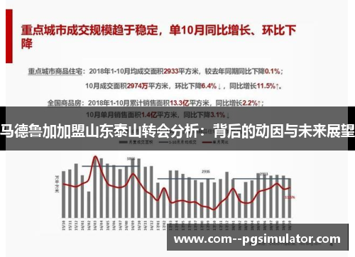 马德鲁加加盟山东泰山转会分析：背后的动因与未来展望